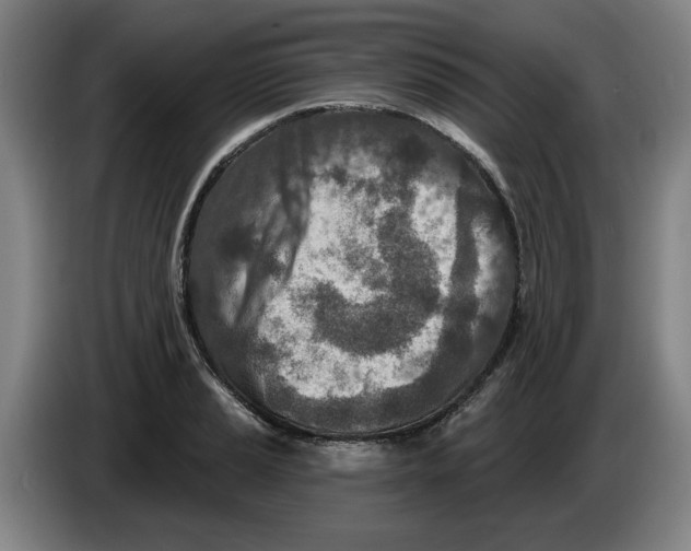 X0000086271037200704191920