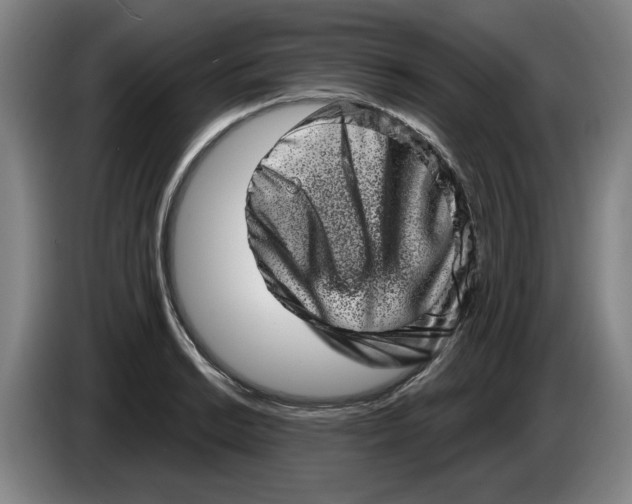 X0000086271038200704191920