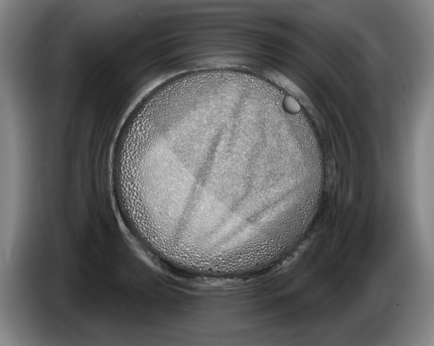 X0000086271039200704191920