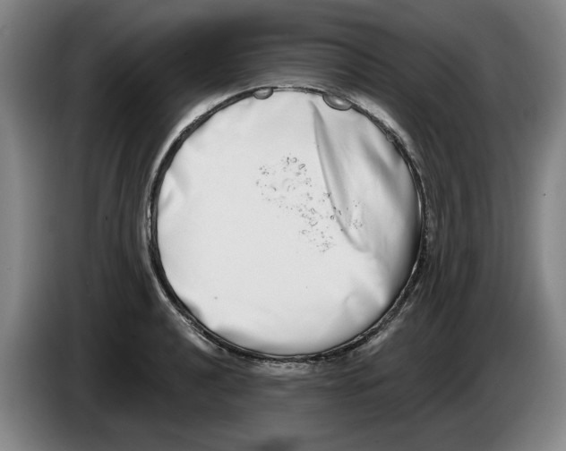 X0000086271040200704191920