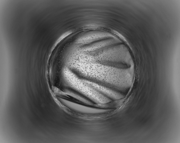 X0000086271042200704191920