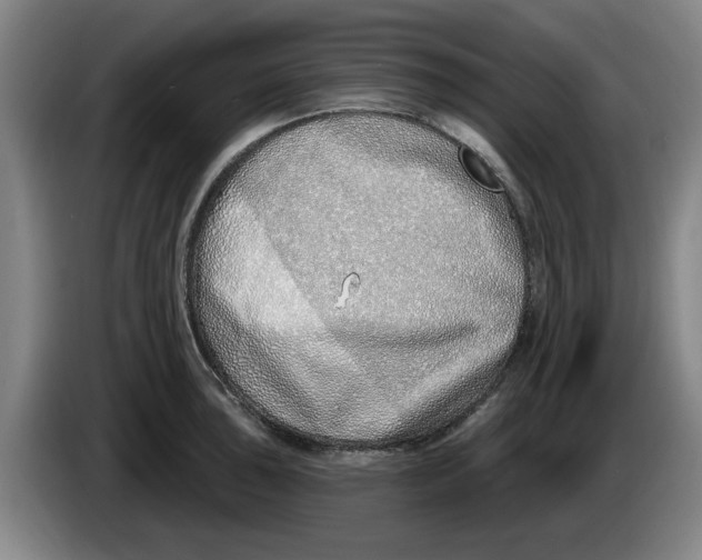 X0000086271043200704191920