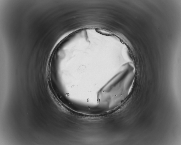 X0000086271044200704191920