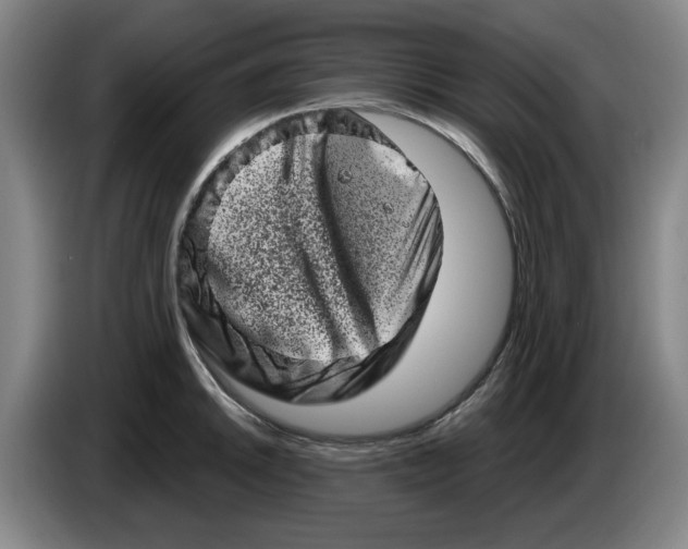 X0000086271046200704191920