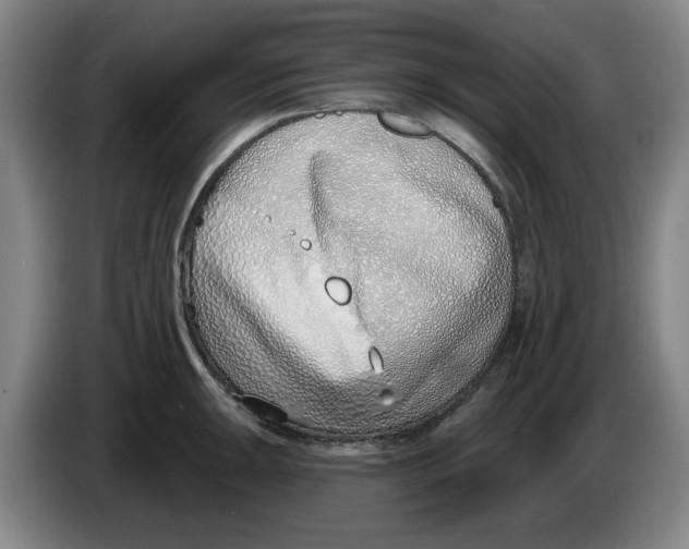 X0000086271047200704191920