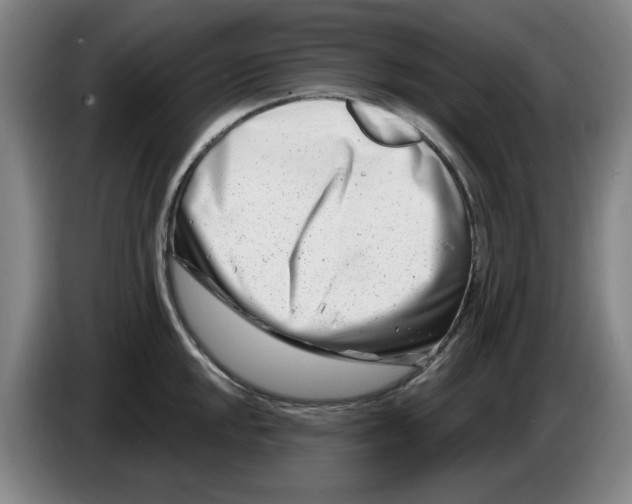 X0000086271048200704191921