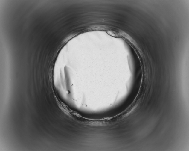 X0000086271049200704191921