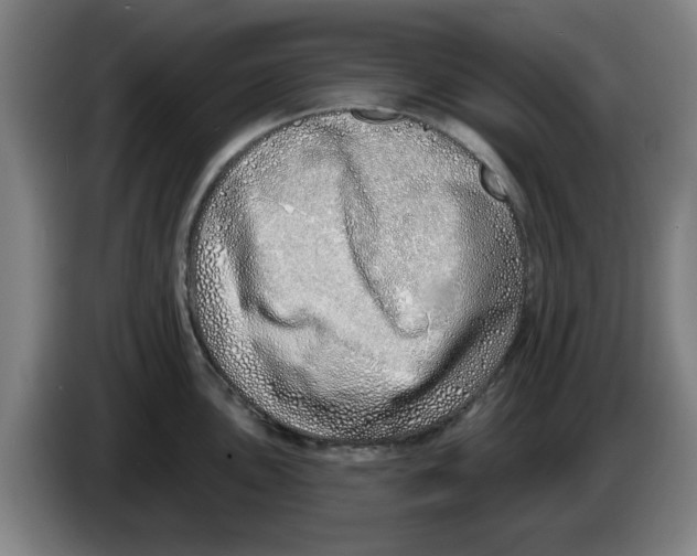 X0000086271051200704191921