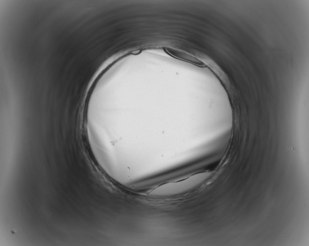 X0000086271052200704191921