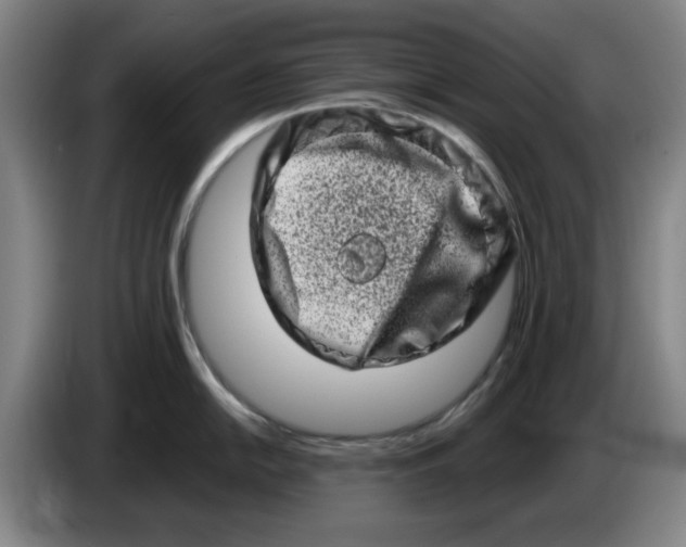 X0000086271054200704191921