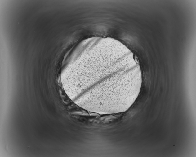 X0000086271057200704191920