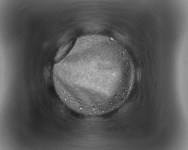 X0000086271059200704191920