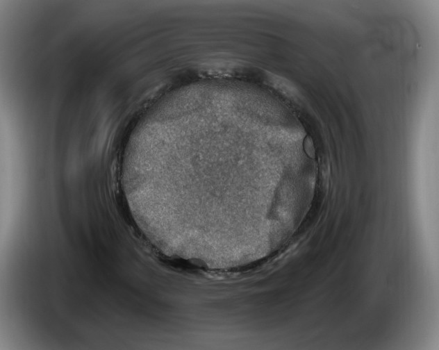 X0000086271060200704191920