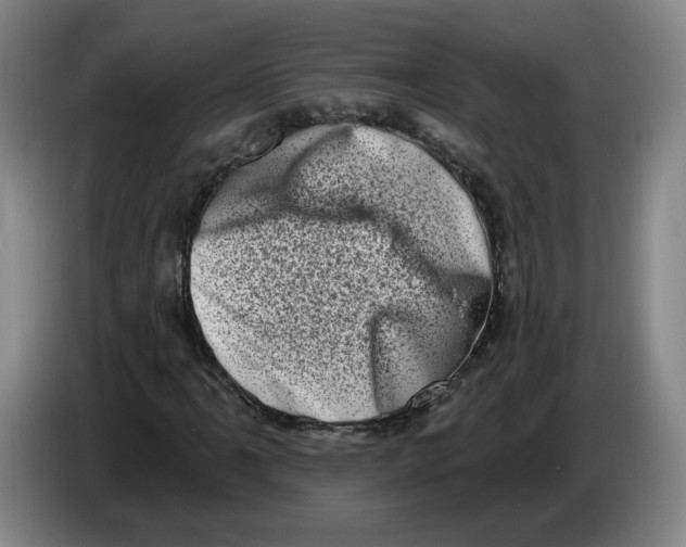 X0000086271061200704191920