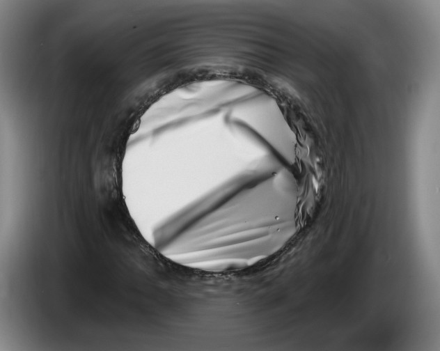 X0000086271062200704191920