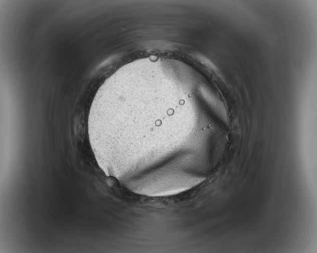 X0000086271063200704191920