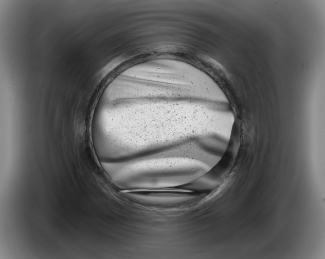 X0000086271065200704191920