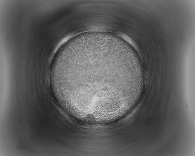 X0000086271067200704191920