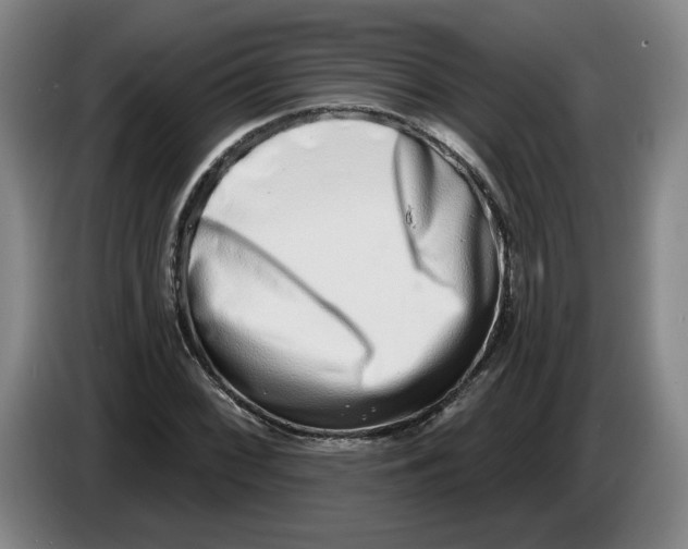 X0000086271068200704191920