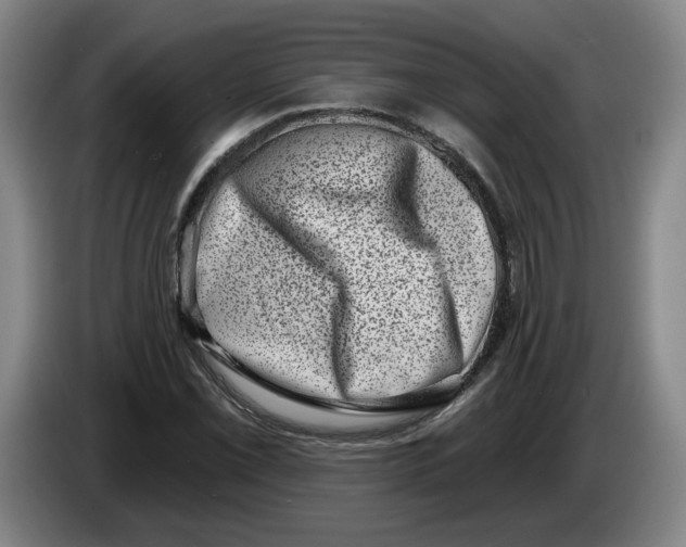 X0000086271069200704191920