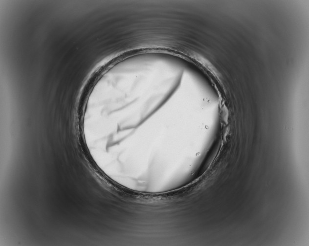 X0000086271072200704191920