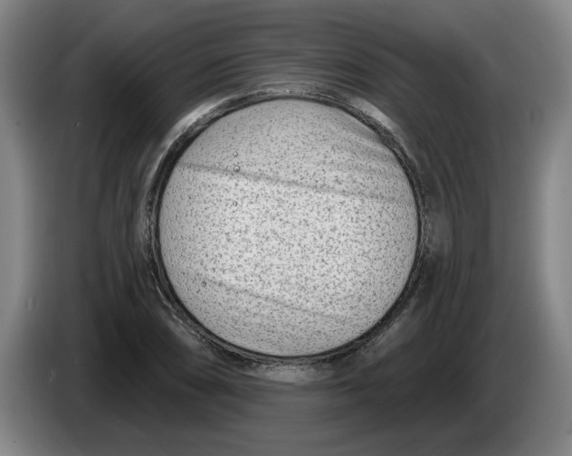 X0000086271074200704191920