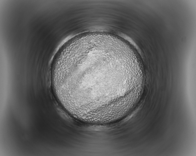 X0000086271075200704191920