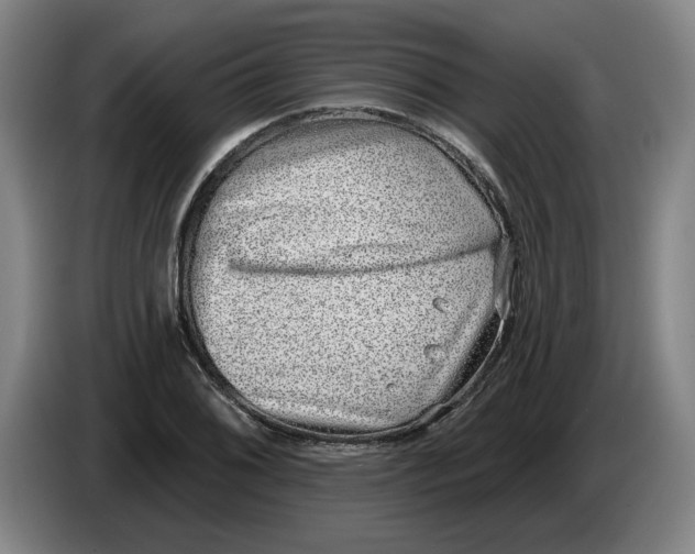 X0000086271076200704191920