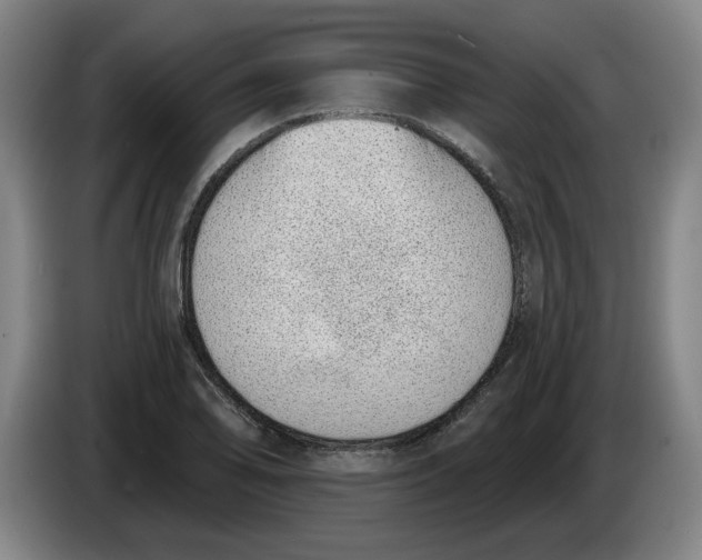 X0000086271078200704191920