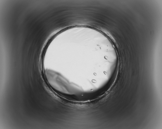 X0000086271080200704191920