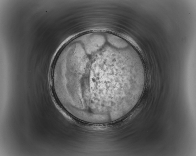 X0000086271084200704191920