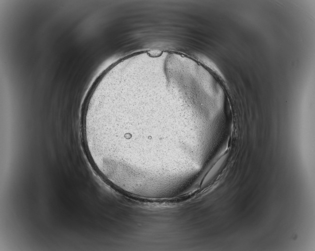 X0000086271087200704191920