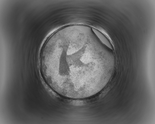 X0000086271088200704191920