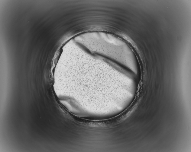 X0000086271089200704191920