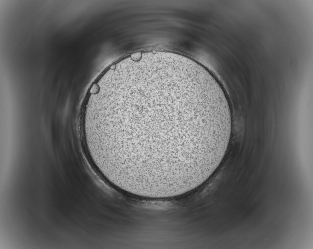 X0000086271090200704191919