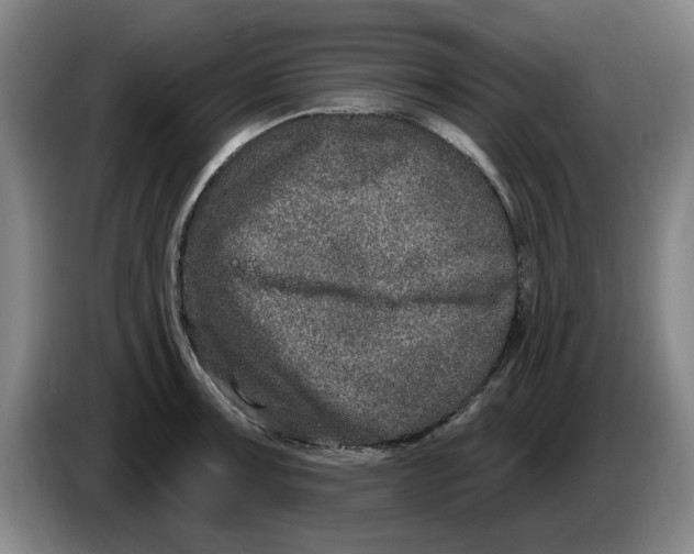 X0000086271091200704191919