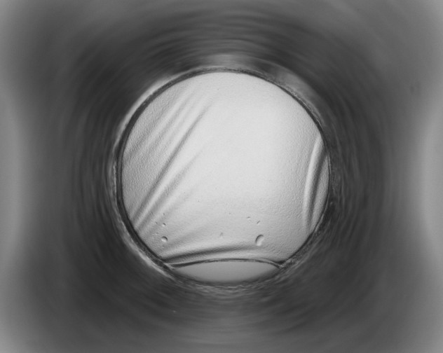 X0000086271092200704191919