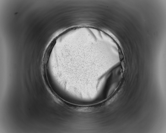 X0000086271093200704191919