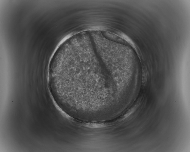 X0000086271095200704191919