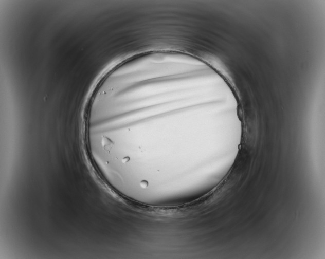 X0000086271096200704191919