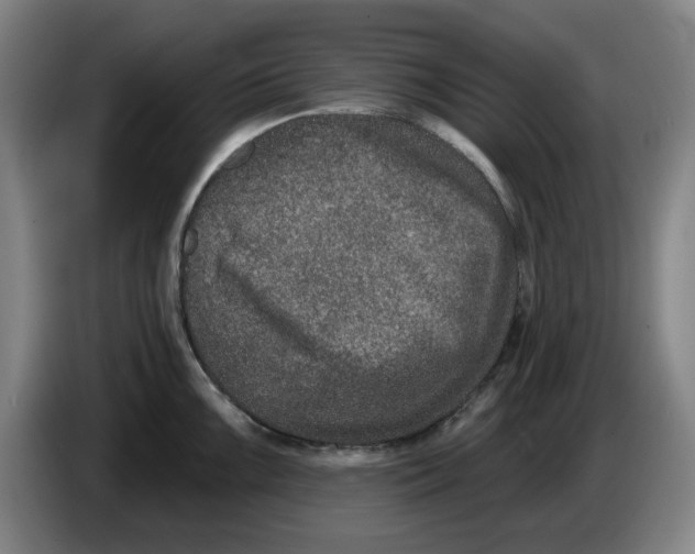 X0000086271099200704191919