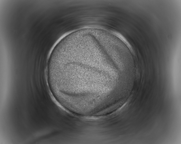 X0000086271100200704191919