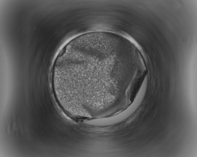 X0000086271102200704191919