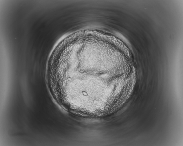 X0000086271103200704191919