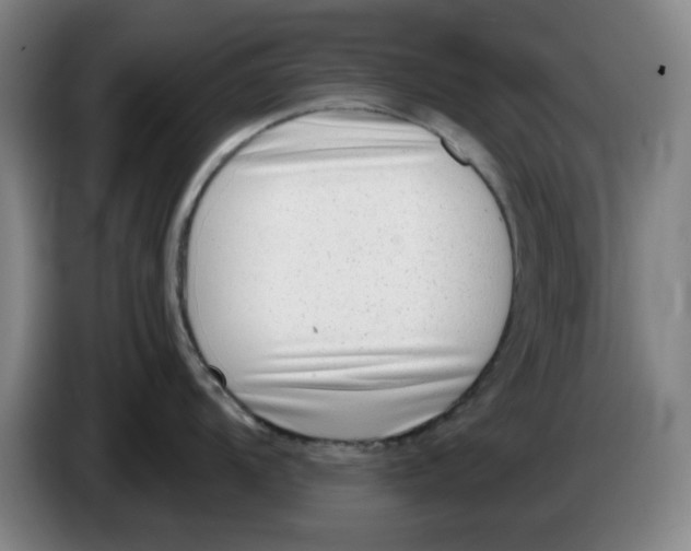 X0000086271104200704191919