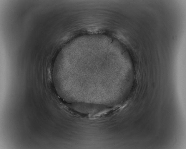 X0000086271106200704191919