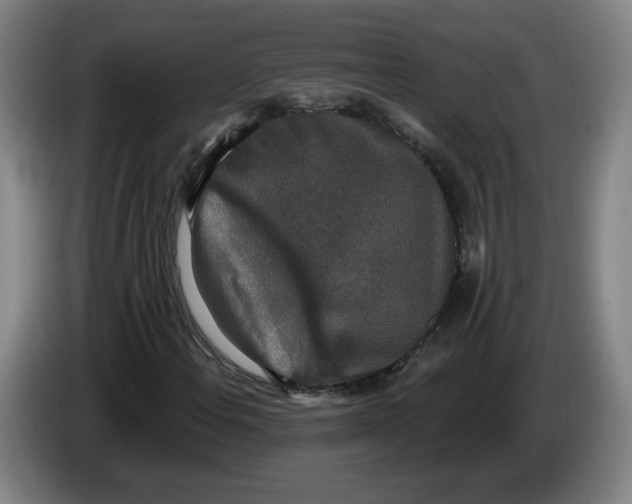 X0000086271108200704191919