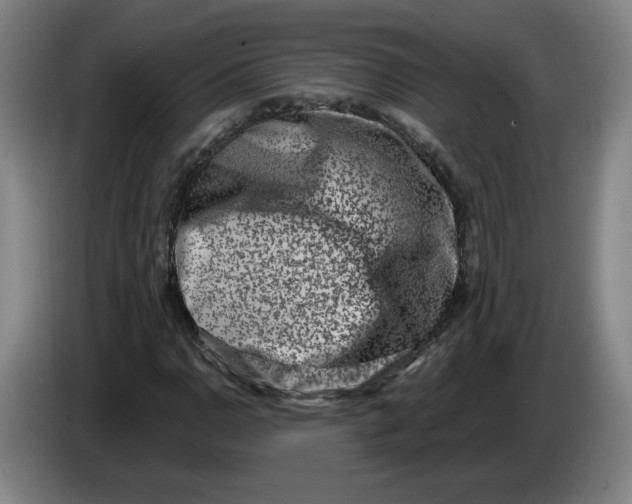 X0000086271110200704191919