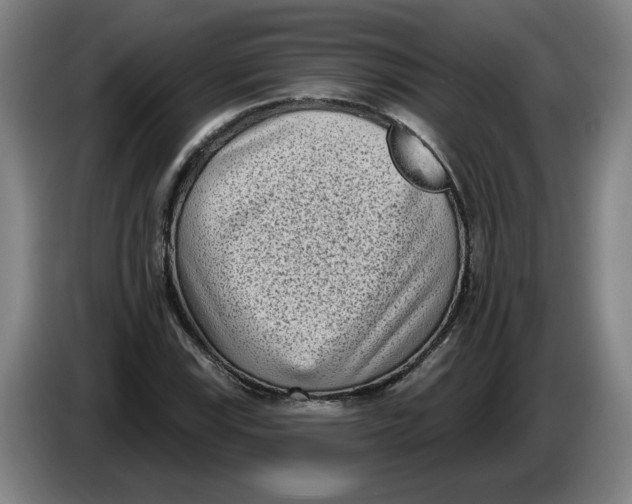 X0000086271115200704191919