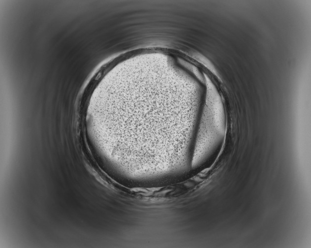 X0000086271116200704191919